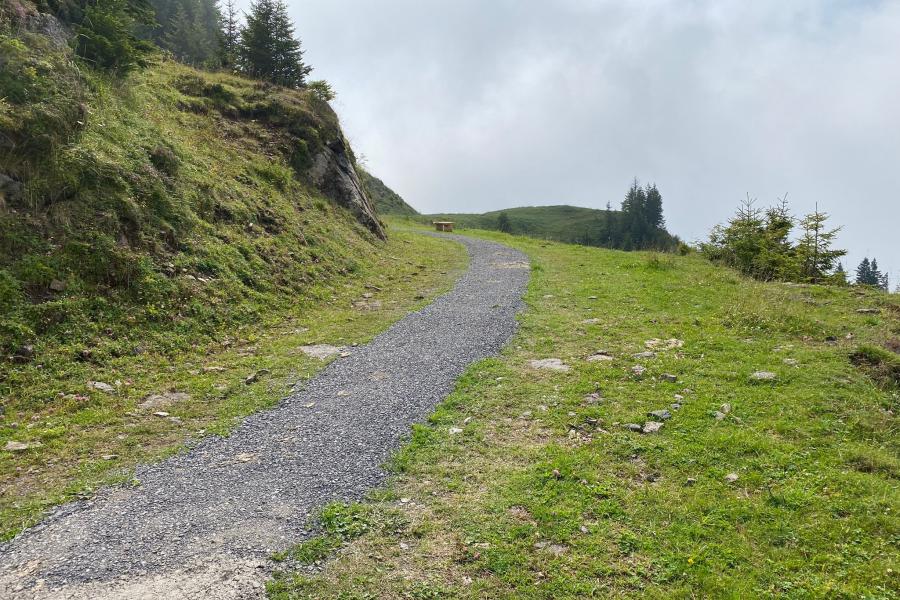 camino del placer10